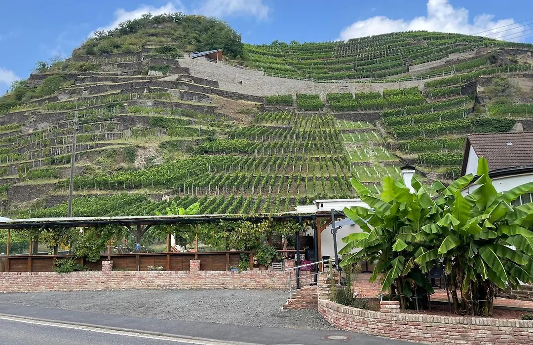 Winzerschenke-1